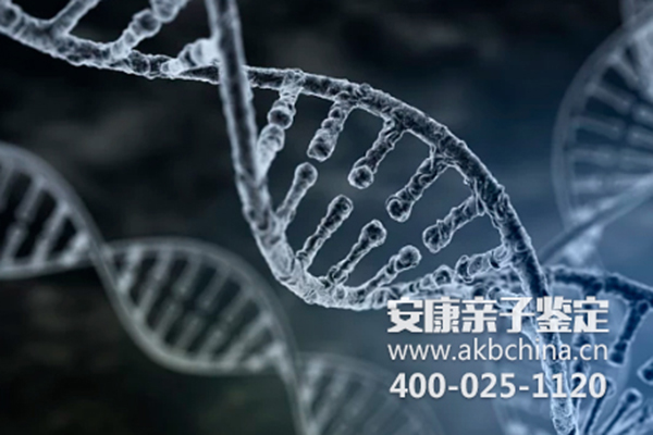 黄冈上海哪里可以做亲子鉴定多少钱，上海DNA鉴定在哪里 